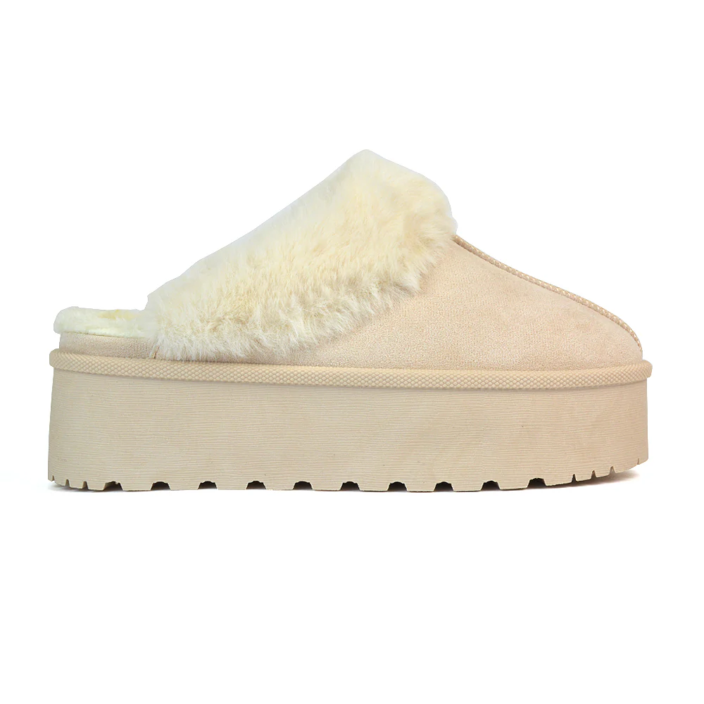 Product image 66